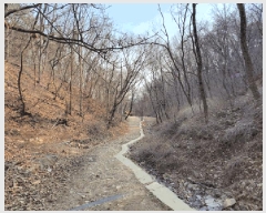  2025Ÿ��547  �Ӿ߰��