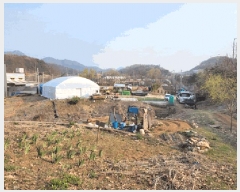  2025Ÿ��547  �Ӿ߰��