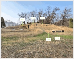  2025Ÿ��547  �Ӿ߰��