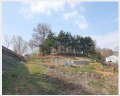  2025Ÿ��547  �Ӿ߰��