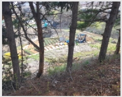  2025Ÿ��547  �Ӿ߰��