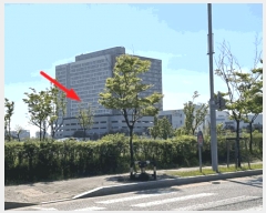  2025Ÿ��583 ��� ����� ���յ� 2638 �źϼ��������̵� 9��910ȣ     ���ǽ��ڰ��