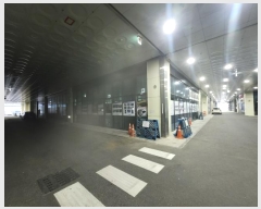  2025Ÿ��50561  ����Ʈ��������