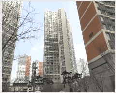  2025Ÿ��51626 ��� ����� ��� 191 ������1ȣ�ݽ���÷��̽� 106�� 13��1301ȣ    ����Ʈ���