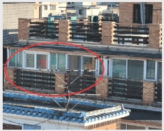  2025Ÿ51708  Ȼ ܿ ε 1034-9 5502ȣ     ټ,