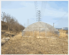  2025Ÿ��51847 ��� ����� ������ 211-44       ����(��1)���