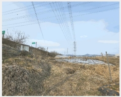  2025Ÿ��51847 ��� ����� ������ 211-44       ����(��1)���