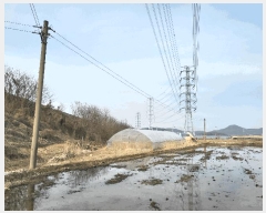  2025Ÿ��51847 ��� ����� ������ 211-44       ����(��1)���