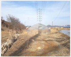  2025Ÿ��51847 ��� ����� ������ 211-44       ����(��1)���