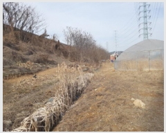  2025Ÿ��51847 ��� ����� ������ 211-44       ����(��1)���