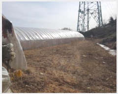  2025Ÿ��51847 ��� ����� ������ 211-44       ����(��1)���