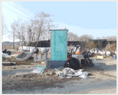  2025Ÿ��52013 ��� �Ȼ�� �ܿ��� ��κϵ� 1160-21      ����(��)���