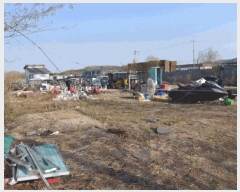  2025Ÿ��52013 ��� �Ȼ�� �ܿ��� ��κϵ� 1160-21      ����(��)���