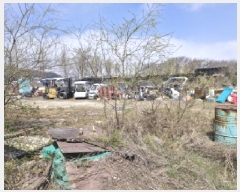  2025Ÿ��52013 ��� �Ȼ�� �ܿ��� ��κϵ� 1160-21      ����(��)���