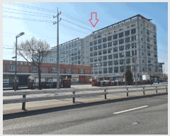  2025Ÿ��52065  ����Ʈ��������