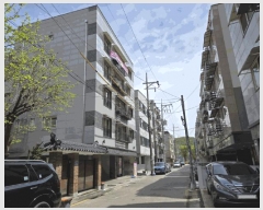  2025Ÿ��52149  �ټ���(����)���