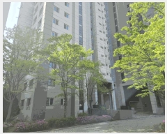  2025Ÿ��52232 ��� �Ȼ�� �ܿ��� ���ܵ� 852 ���ܷԵ�ĳ�������ũ 101�� 2��201ȣ   ����Ʈ���