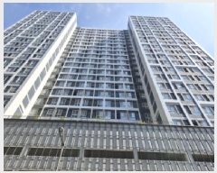  2025Ÿ��52241  �ܵ�(ȣ��)���