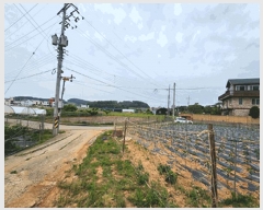  2025Ÿ��52311  �����