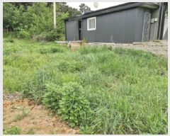  2025Ÿ��52311  �����