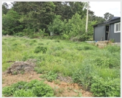  2025Ÿ��52311  �����