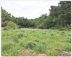  2025Ÿ��52311  �����