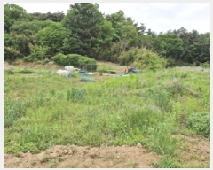  2025Ÿ��52311  �����