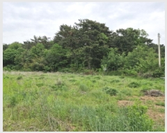  2025Ÿ��52311  �����