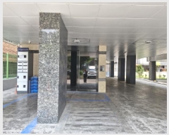  2025Ÿ��52443  �ټ���(����)���