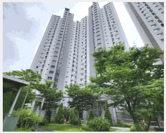  2025Ÿ��52731  ����Ʈ���