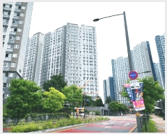  2025Ÿ��52731  ����Ʈ���