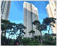  2025Ÿ��52808 ��� ����� ��� 243 �Ѷ��ߵ�ķ�۽� 106�� 25��2506ȣ    ����Ʈ���