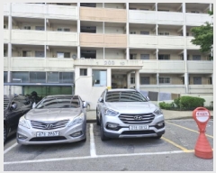  2025Ÿ��52834  ����Ʈ���