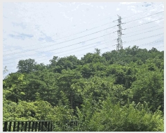  2025Ÿ��52875 ��� ����� ������ 636 ����ɰ�����������۽�ƮŬ���� 1006�� 23��2301ȣ    ����Ʈ���