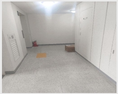  2025Ÿ��53377  ����Ʈ���