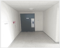  2025Ÿ��53377  ����Ʈ���