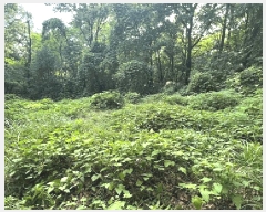  2025Ÿ��721 ��� ����� ��ߵ� ��33-2       ����(�Ӿ�)���