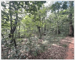  2025Ÿ��721 ��� ����� ��ߵ� ��33-2       ����(�Ӿ�)���