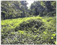  2025Ÿ��721 ��� ����� ��ߵ� ��33-2       ����(�Ӿ�)���