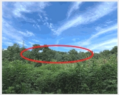  2025Ÿ��721 ��� ����� ��ߵ� ��33-2       ����(�Ӿ�)���