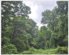  2025Ÿ��721 ��� ����� ��ߵ� ��33-2       ����(�Ӿ�)���