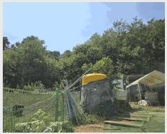  2025Ÿ��741 ��� ����� ���� ��81-1       ����(�Ӿ�)���