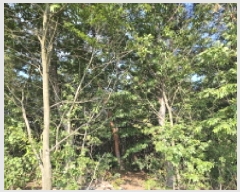  2025Ÿ��741 ��� ����� ���� ��81-1       ����(�Ӿ�)���