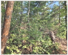  2025Ÿ��741 ��� ����� ���� ��81-1       ����(�Ӿ�)���