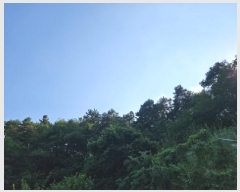  2025Ÿ��741 ��� ����� ���� ��81-1       ����(�Ӿ�)���