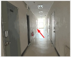  2025Ÿ��749  ���ǽ��ڰ��