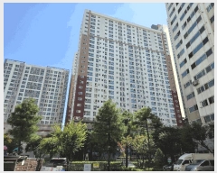  2025Ÿ��784  ���ǽ��ڰ��