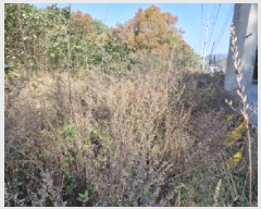  2025Ÿ��50981 ��� �Ȼ�� �ܿ��� ��γ��� 329-8      ��,�繫�ǰ��