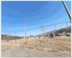  2025Ÿ51690  Ȼ ϱ ϵ 31-1      (Ӿ)