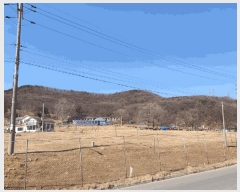  2025Ÿ51690  Ȼ ϱ ϵ 31-1      (Ӿ)